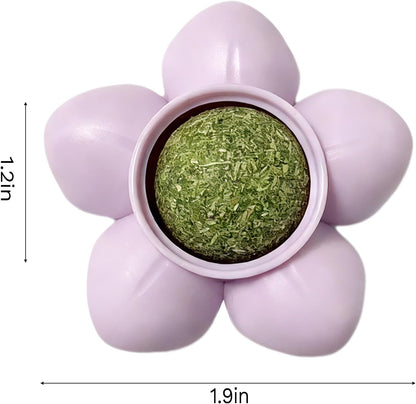 The Spin & Purr Catnip Ball – Self-Rotating Wall Toy for Cats