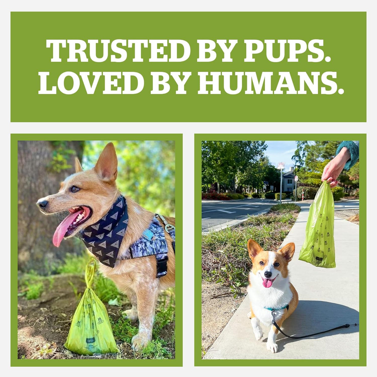 The Walk Ready Bag Dispenser – Leash Clip-On Holder with 15 Bags