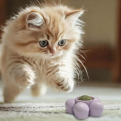 The Spin & Purr Catnip Ball – Self-Rotating Wall Toy for Cats
